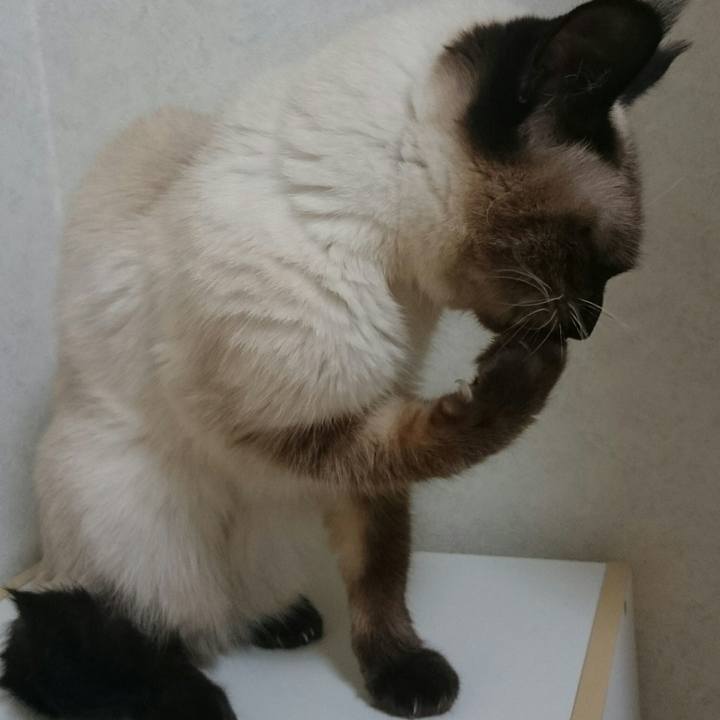 85da53c1 b924 4735 a1b4 6fd0960e82ba