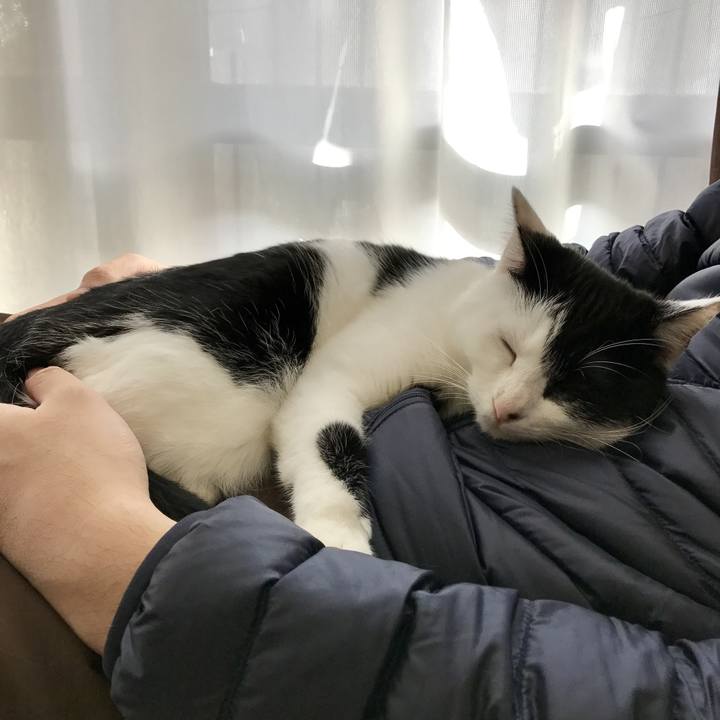 85db7349 b032 4772 9e02 a9f68a4191c5