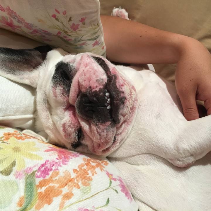 85dbd9d0 930b 4c66 89b8 fdd81548e7d7