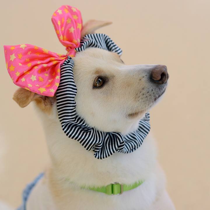 85dcf769 9dc0 4b01 a214 3d5767fcfda0