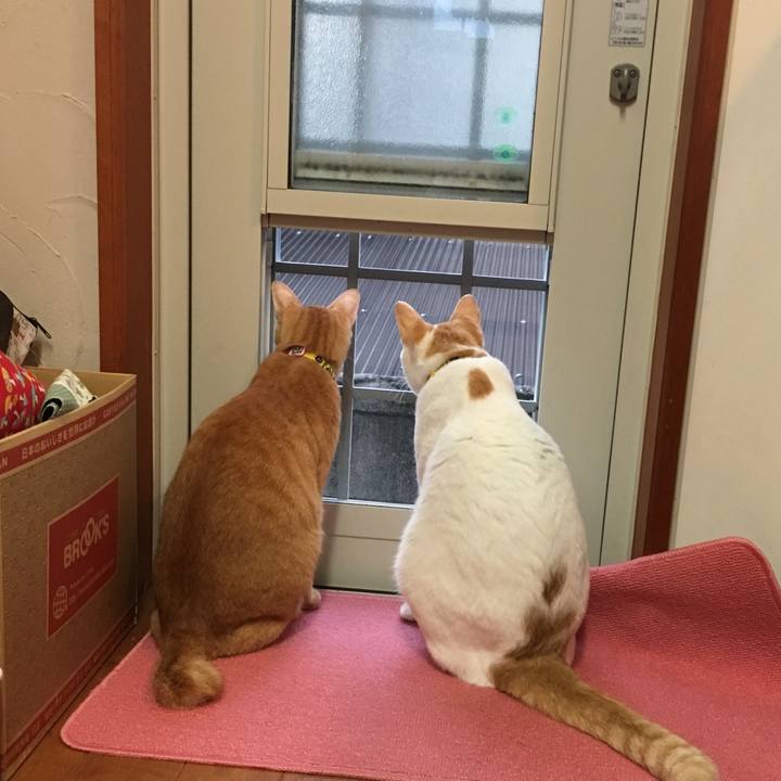 85df2152 888a 4f97 b43b 0d21e29ba000