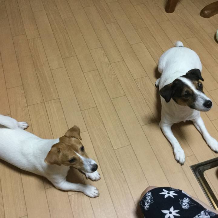 85dfd741 04ee 48d2 91d9 3f5c3957aba2