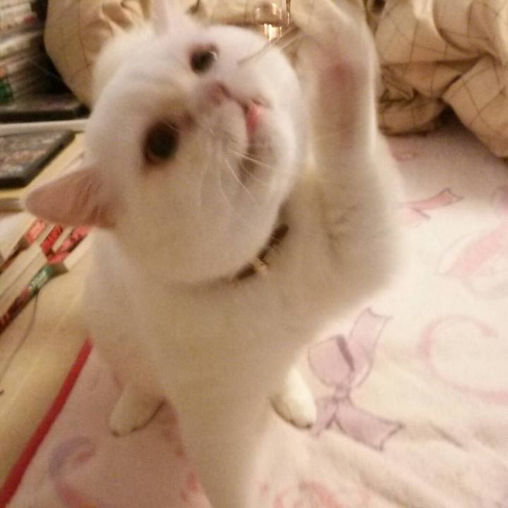 85dfd9fb 1ad0 44bf b7d7 2d3028470d73