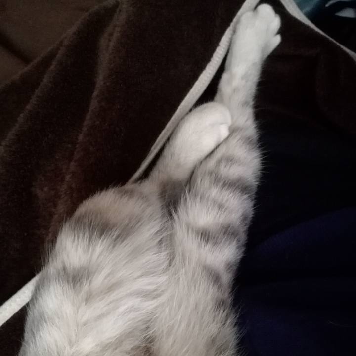 85e05f94 b8ad 464d b990 0b424462f91e