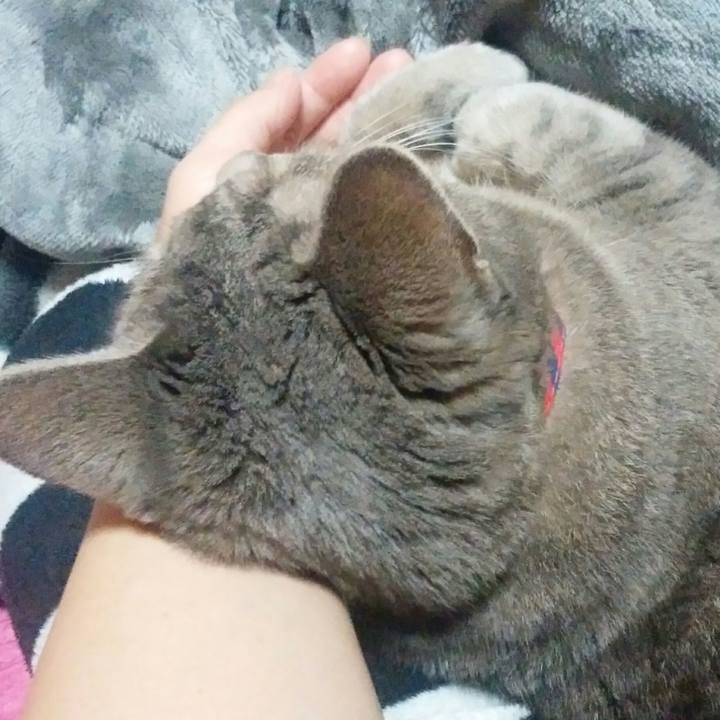 85e0a508 d196 49d6 b4c8 359f4160fe1e