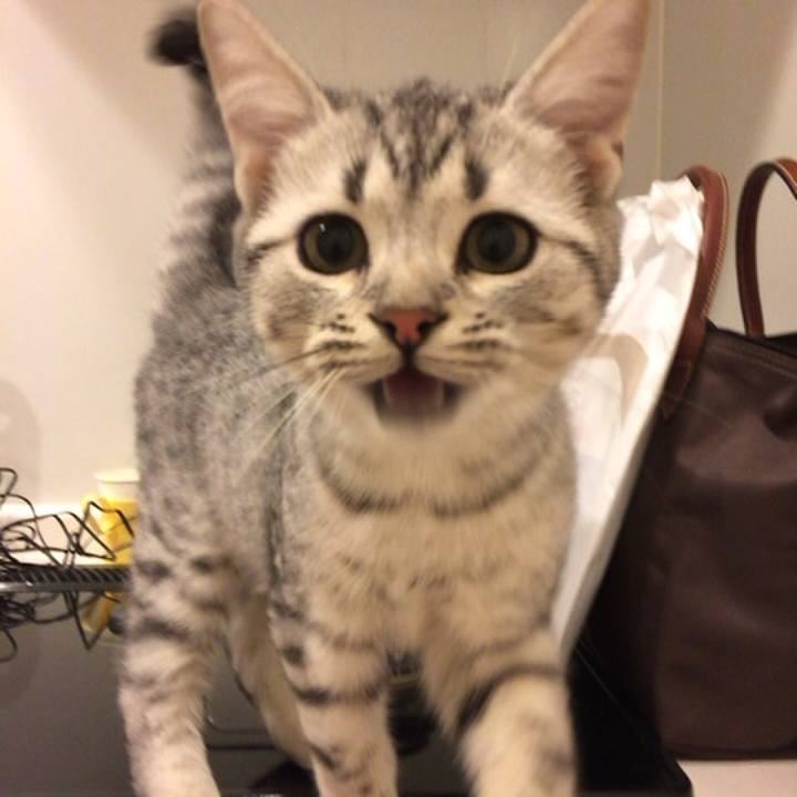 85e134a5 71af 49f5 9720 cca3b2d0b539