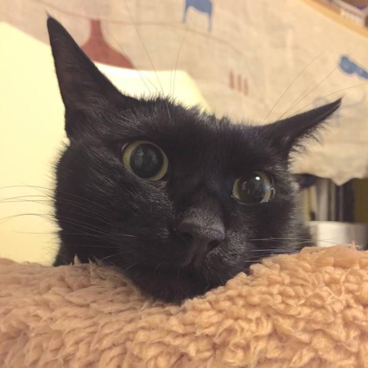 85e18abc 7955 4cac a454 b96b7826ab98