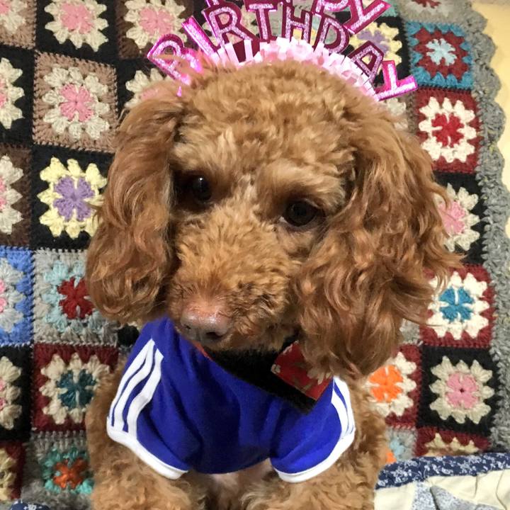 85e24760 f5b0 4019 97af 6ff93d14435e