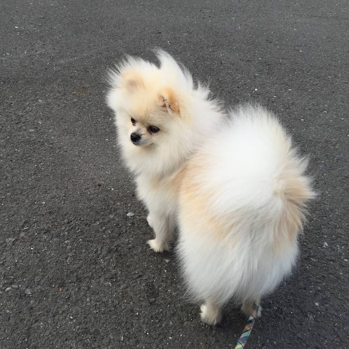 85e2ccaf 17fc 4d14 864e da6d61e51674