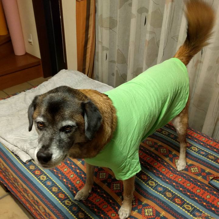 85e3def0 11c0 410e a53e 731461fdce8d