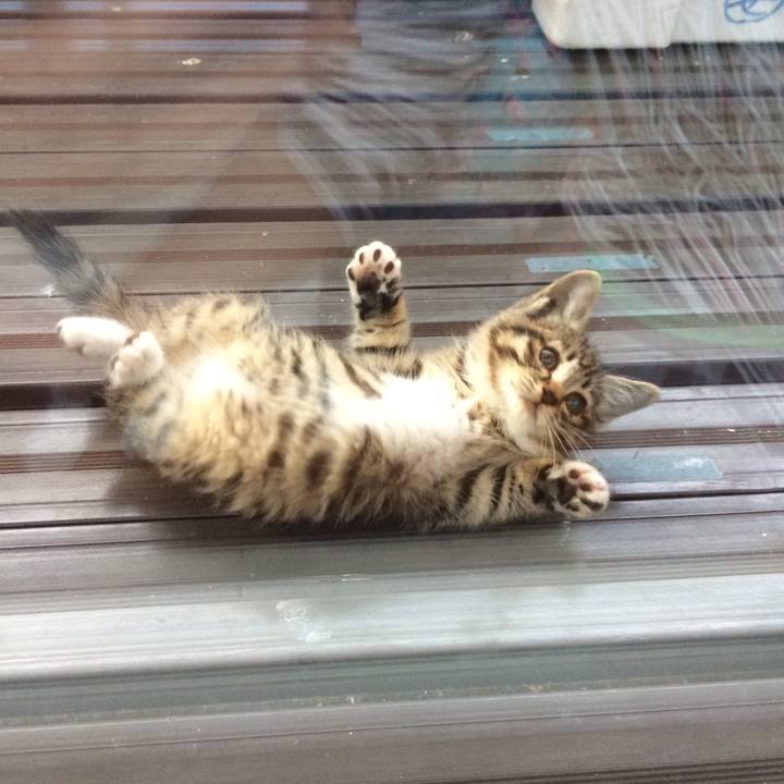 85e4b771 6859 4b91 8084 489bf2d01528