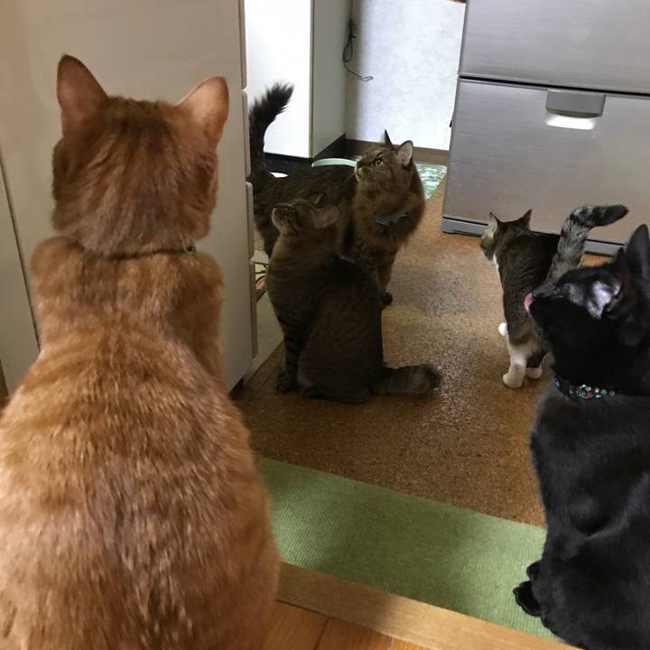 85e4c26f 764c 49ae b1a1 dc16ebf24c8d