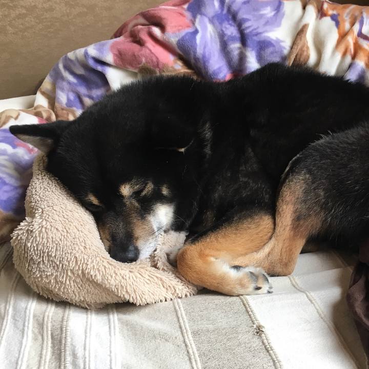 85e5b13f 2cf6 4e18 b29e e27d75855170