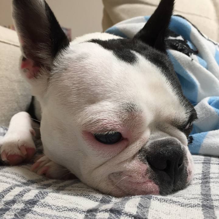 85e5c881 6b8f 464d b8b7 3c4cecd49fc6