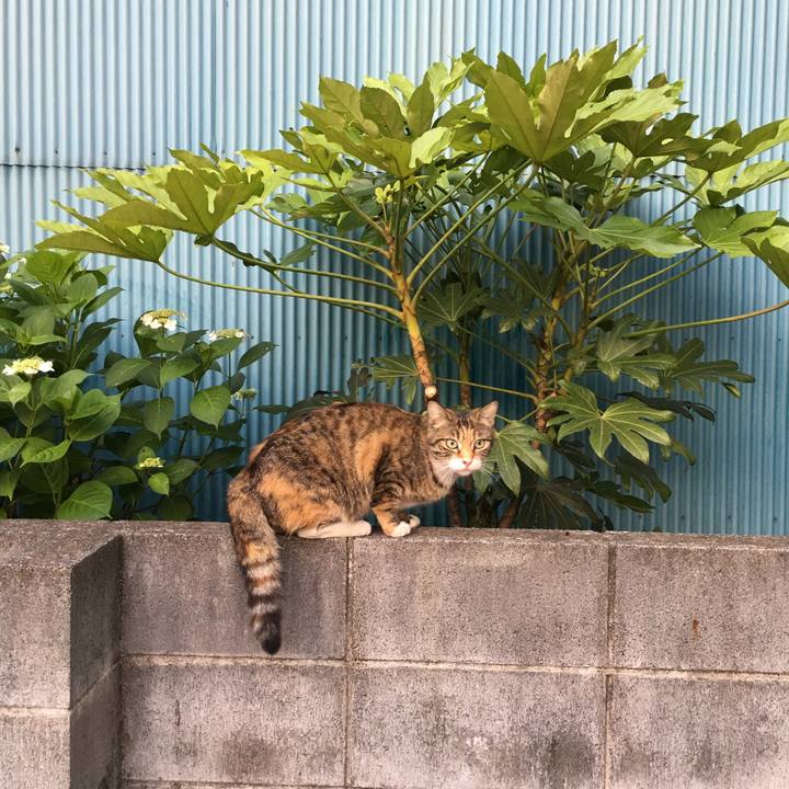 85e61104 d940 4044 96ec 6d6927903970