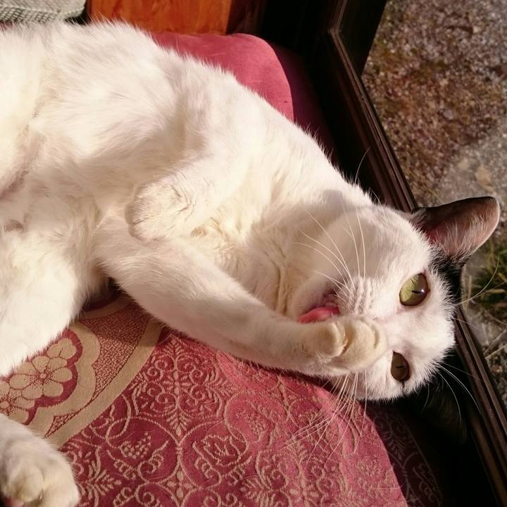 85e6d461 28a8 4e13 b263 d7191b5d067f