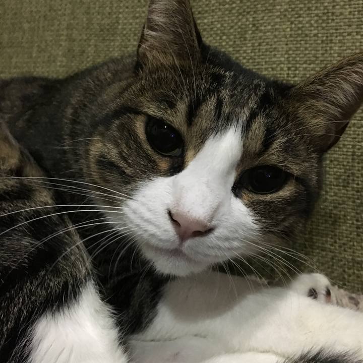 85e81412 173d 4779 9c33 aa654cb48d8c