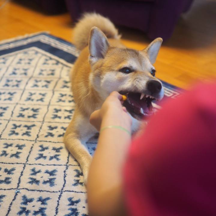 85e84bcf c83b 4b1b a0a5 09103efb6a22