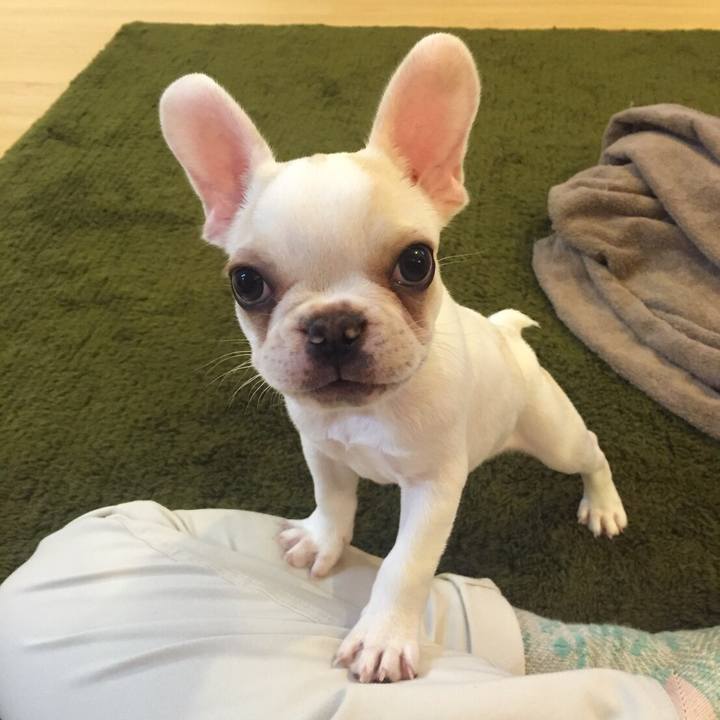 85e85c65 79b6 4d67 9e75 5034cfcb4e4f