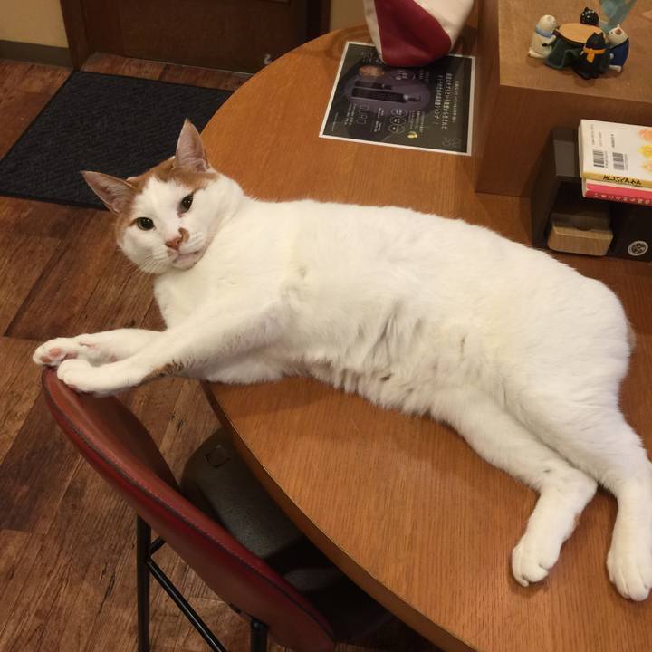 85e895b6 6048 49ae b1ba 465b1da6eb8c