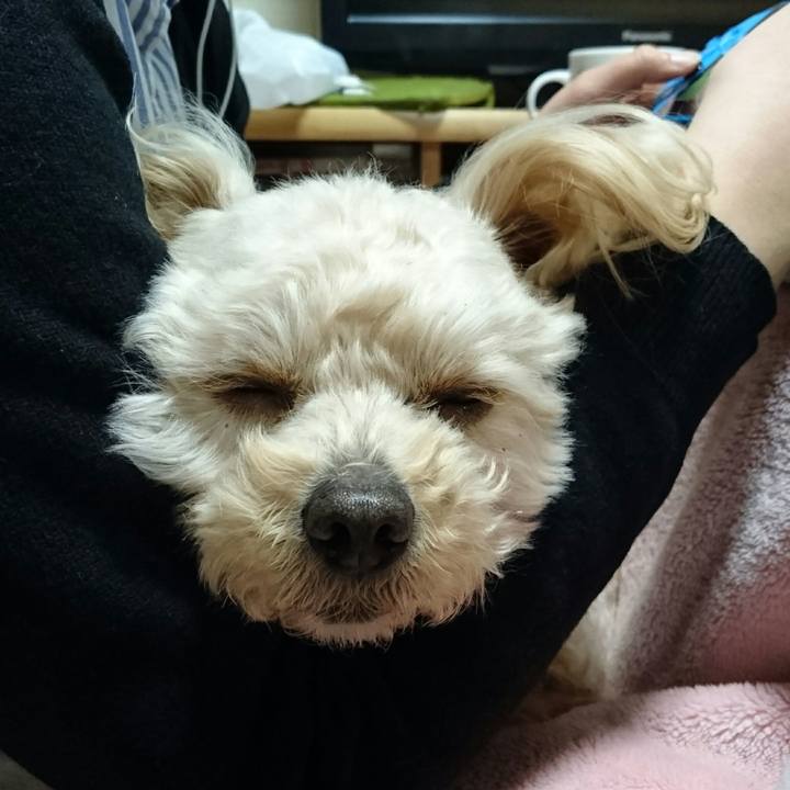 85e8acb8 c40b 49fa 8a2f e71dfef298d1