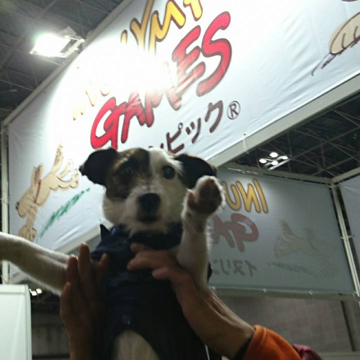 85e8e073 e74b 43f1 b15e 85d3537a7e4f