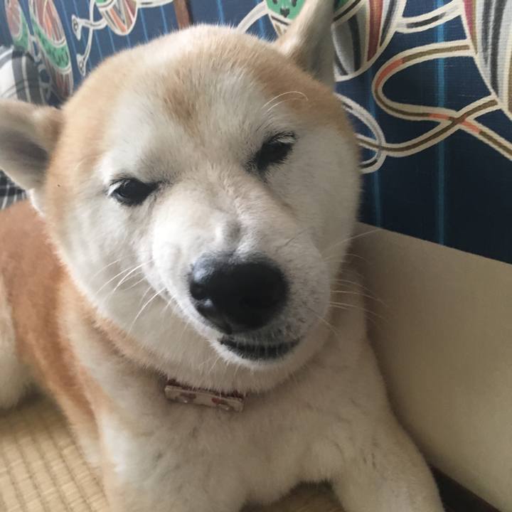 85e9fa00 4c98 4a0c 86fe b0414eb8b278