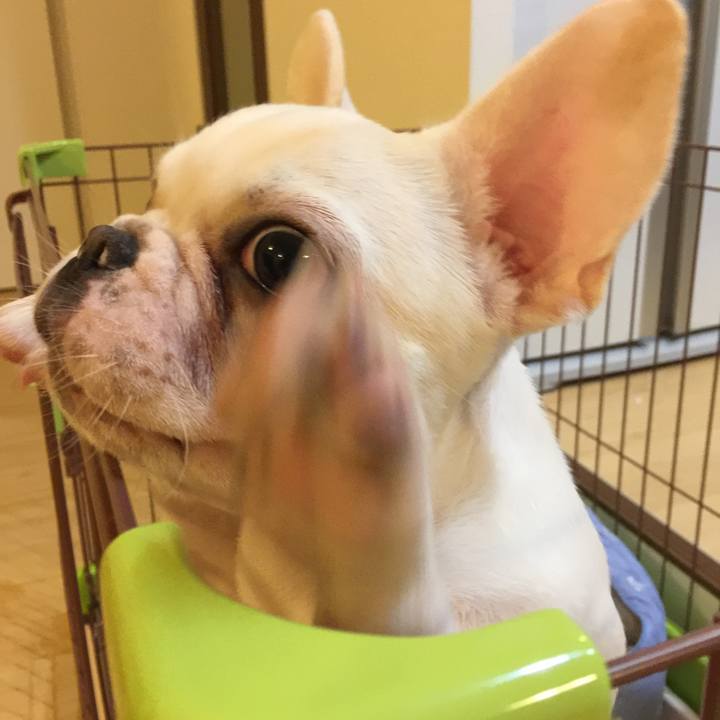 85ea2b7b f312 46fe ab53 bd9dd35d3d13