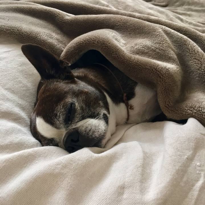 85eb41f4 d750 4099 9bda 49c2b7c8c18b