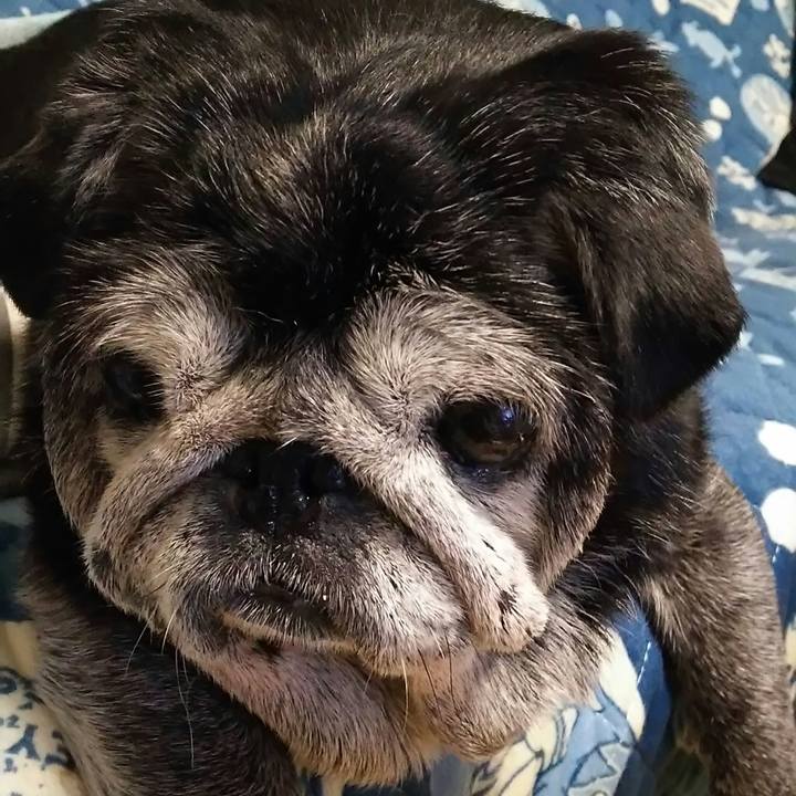 85eb555a 3500 43bd 8f28 21dc9ee7b1e8