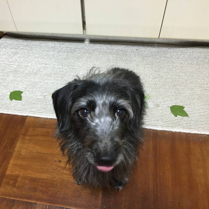 85ed00ea 68da 4c64 9554 0ac5e8f99f60