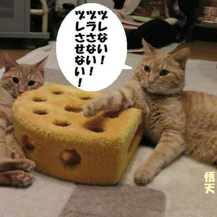 85ed2344 ce58 4765 9669 e344dddc3029