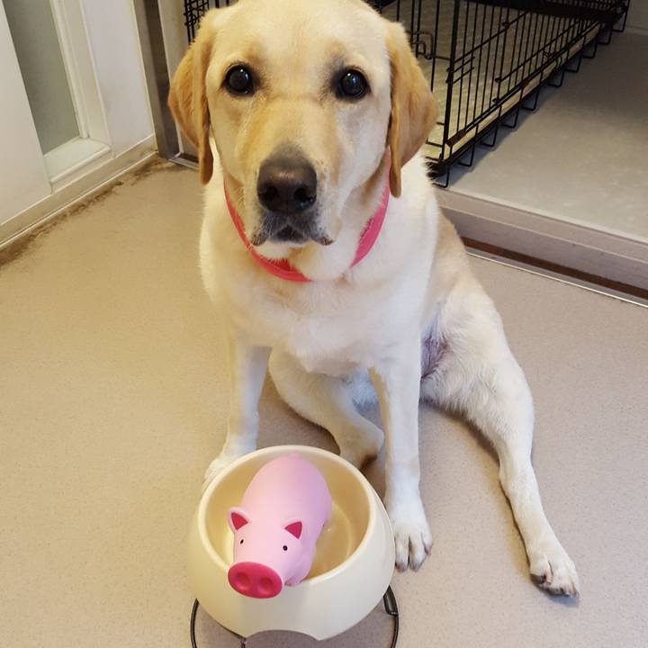 85edf445 b73f 49d0 91b9 c14b4ad2511b