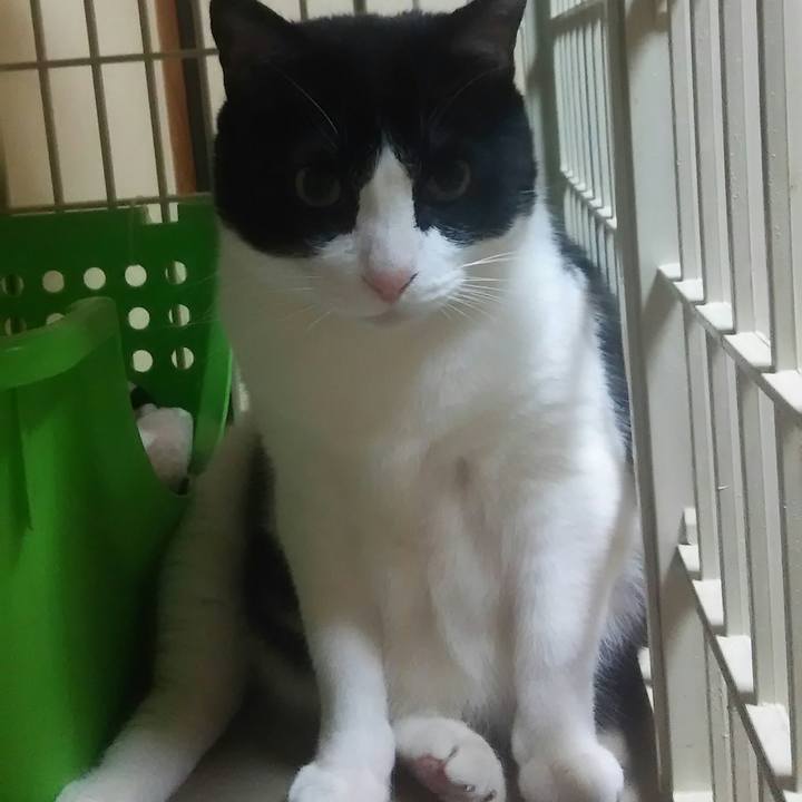 85ee067b 7b24 4f51 8eb8 ae9f7c403f7c