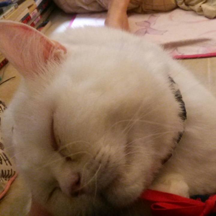 85ee0cc5 d23a 4d3b 94c8 70c28d0049b2