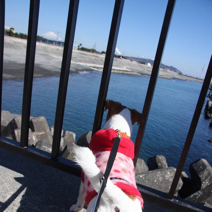 85ee2428 f200 432a 939e 3bc845175358