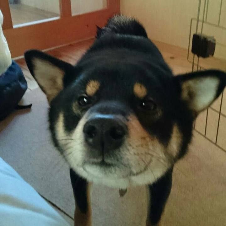 85ef2811 26a9 49f2 abfc ba195ffa6adf