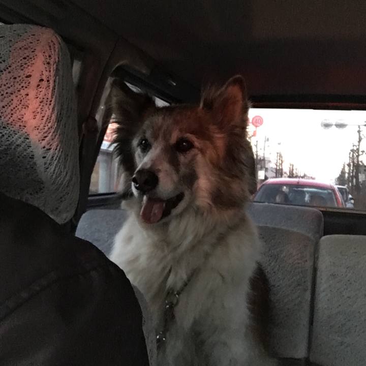 85ef51ef 3dbb 4fba b658 2e17fa2a8c20