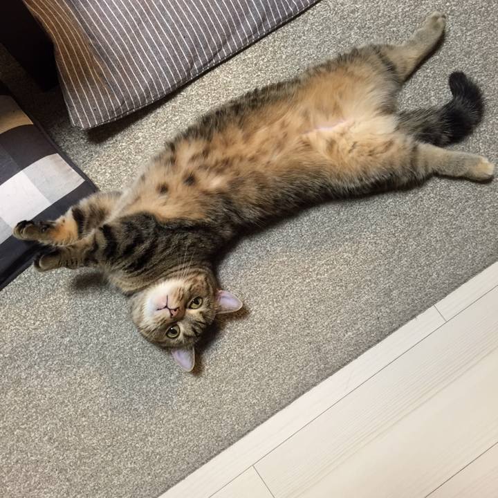 85efba51 da80 4d32 81fc 0dba7f093341