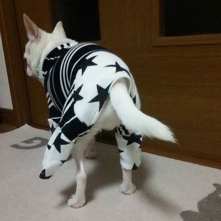 85efe97e 706a 48d6 975b dd6a3576b6ab