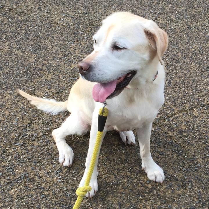 85f06490 34c4 484b bd68 7e6443c551f2