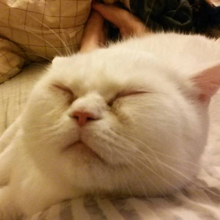 85f084c1 8f2a 4e4c 8f33 842ef5d1d392