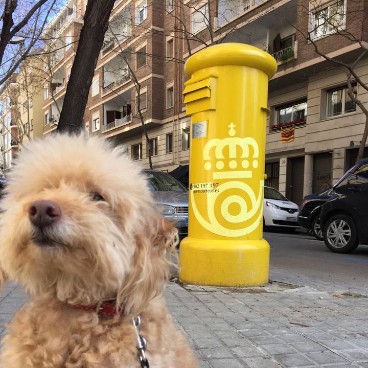 85f0acd0 3d9d 4711 9576 4691efb605a3