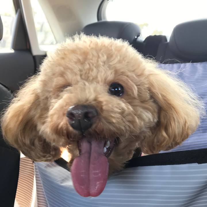 85f0b314 b5ec 4d87 82c7 7d1995767e47