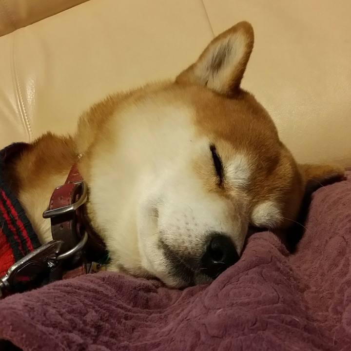 85f19f26 2ce0 4e78 9b2a 89b2dc6342f1