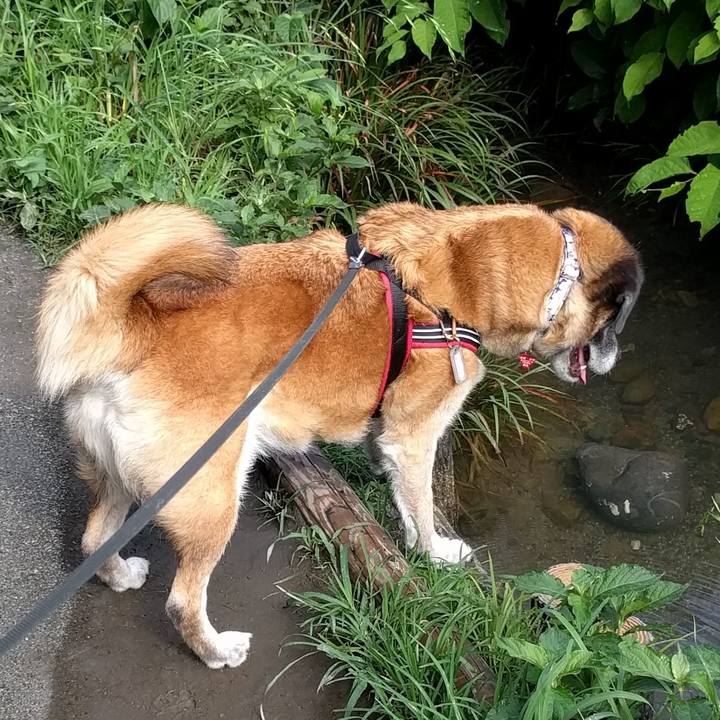 85f1f5cd 990b 48a4 95b3 3bbabf4945d8