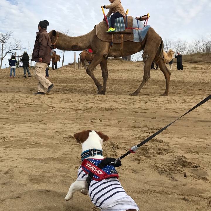 85f21c07 5a5a 4268 bcfb 5251e42f3b54