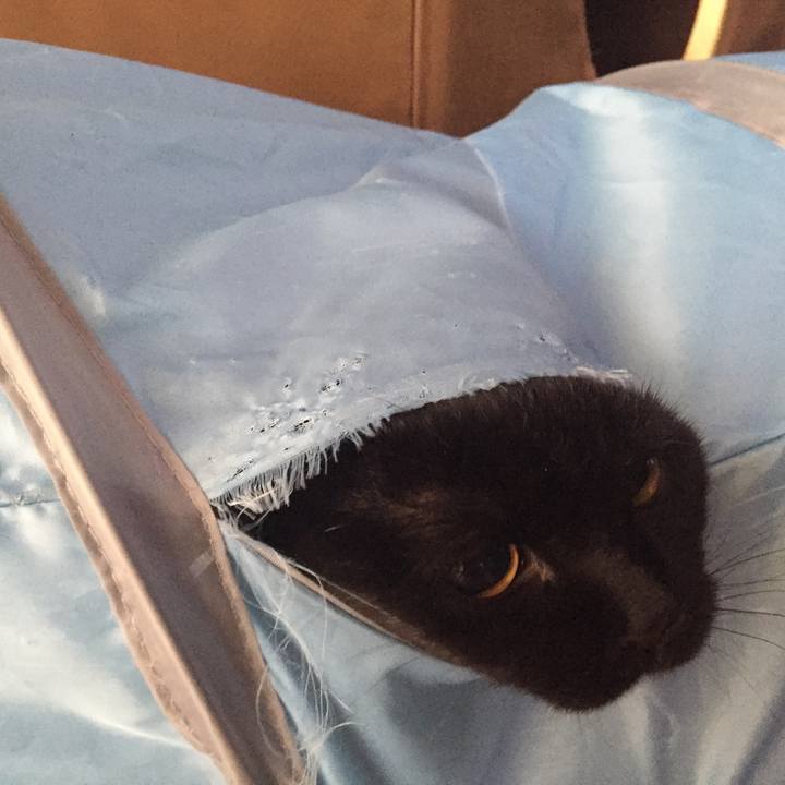 85f2b97e df7f 4ef5 8686 611522e0d74b