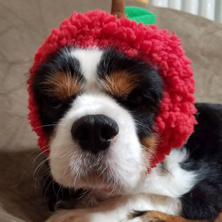 85f36224 05c1 43b8 b8c4 6b924f9ee8e9