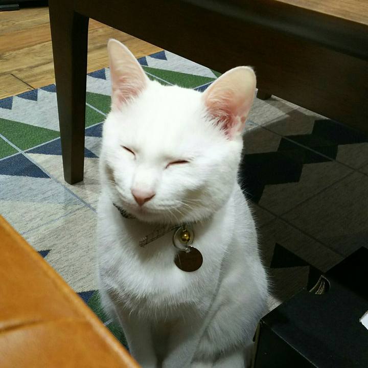 85f40f46 d059 4924 810a 620c559e8211